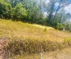 Land for sale in minuwangoda/dewalapola - 4