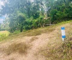 Land for sale in minuwangoda/dewalapola - 6