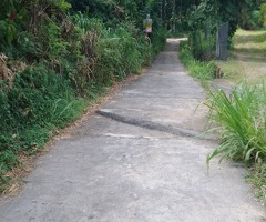 Land for sale in kandy