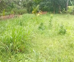 🔥 Urgent Land Sale in Hasalaka! 🔥