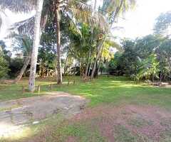 🇱🇰For Sale – Prime 10 Perches and 12.4 perches Elevated two plots in Kandana