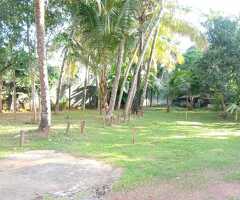 🇱🇰For Sale – Prime 10 Perches and 12.4 perches Elevated two plots in Kandana - 4