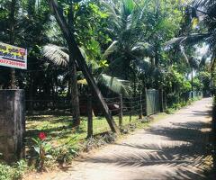 Land for sale in kalutara/nagoda - 3
