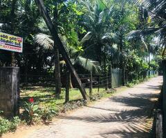 Land for sale in kalutara/nagoda - 5