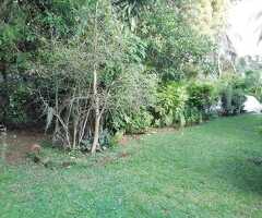 🇱🇰 For Sale – Prime 69 Perches Land and House in Matale - 2