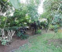 🇱🇰 For Sale – Prime 69 Perches Land and House in Matale - 6