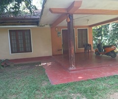 ​🌿 Investment Opportunities in the Scenic Badulla District, Sri Lanka