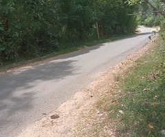 ​🌿 Investment Opportunities in the Scenic Badulla District, Sri Lanka - 8