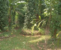 ​🌿 Investment Opportunities in the Scenic Badulla District, Sri Lanka - 9