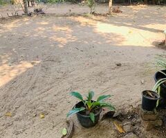 Land for sale in kelaniya/pethiyagoda