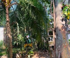 Land for sale in kelaniya/pethiyagoda - 4