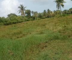 🔥Urgent sale🔥 - 2