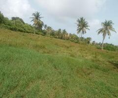 🔥Urgent sale🔥 - 4