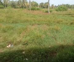 RARE OPPORTUNITY FOR YOUR DREAM INVESTMENT! -🌐 - 5